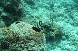 Curacao 04-12 108